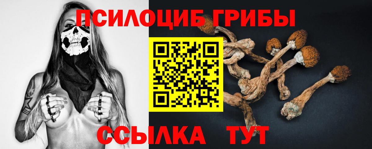 Великий Устюг  Псилоцибиновые грибы Psilocybine cubensis  Вход с VPN  Псилоцибиновые грибы прущие грибы 